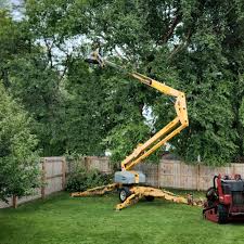 Best Pest Control for Lawns  in East Bethel, MN