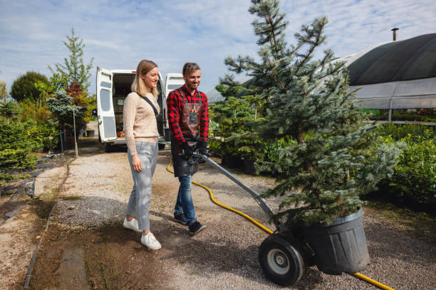 Best Lawn Grading and Leveling  in East Bethel, MN